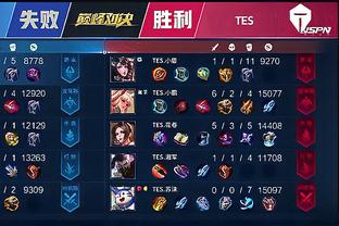 毛球项目的
